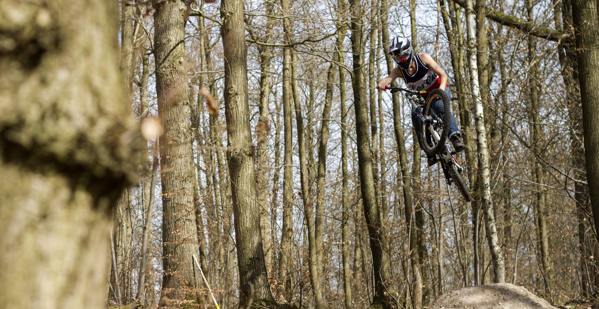 Whip en forêt